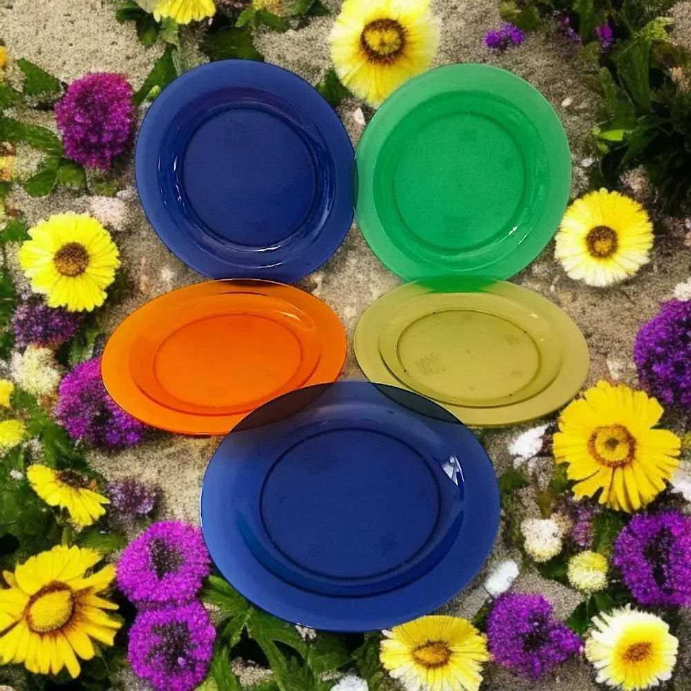 5 Ikea Hagberg & Hagberg Dinner Plates Sola Translucent Plastic Vintage Colorful